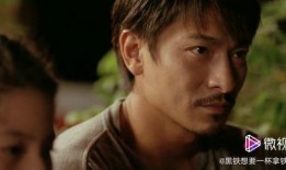 刘德华电影 在线观看